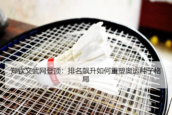 郑钦文武网登顶：排名飙升如何重塑奥运种子格局